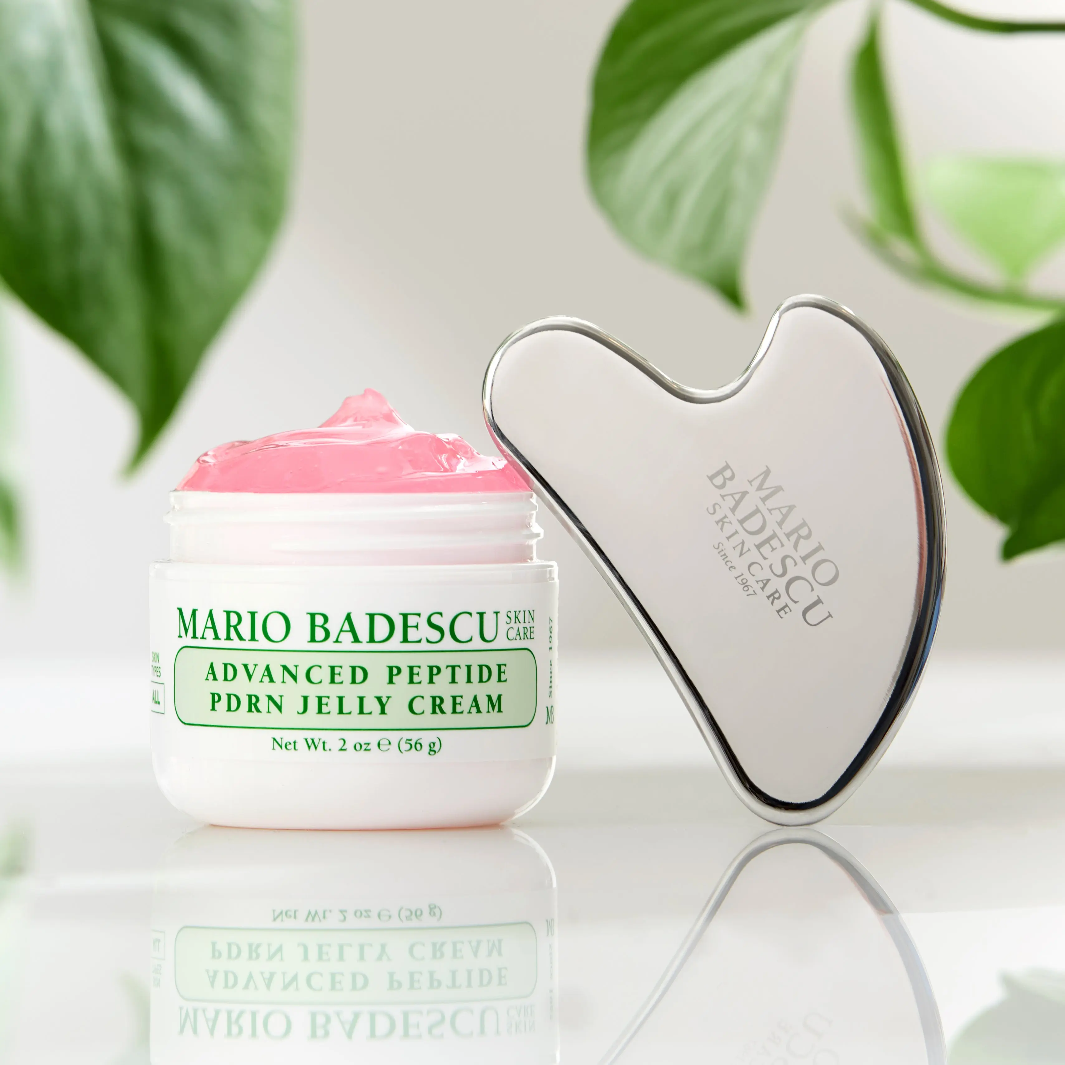 Advanced Peptide PDRN Jelly Cream + Gua Sha Bundle