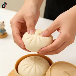 2026 Upgraded Dumpling Squishy Fidget Toy Large Mystery Stress Relief Bun with Steamer Soft TPR Material Adorable Design Ideal  for All Ages Kids Birthday Party Decoration Cute Gift camp gear  essentials
