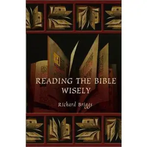 USED-Reading the Bible Wisely by Richard Briggs (Paperback)