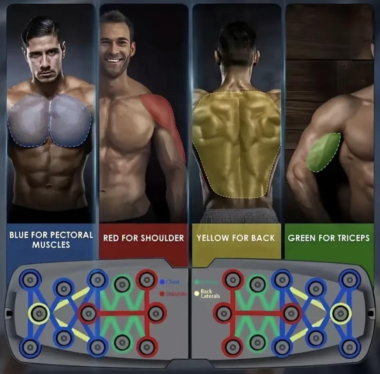 Push Up Board Fitness, Portable Foldable 28 in 1 Push Up Bar at Home Gym, Pushup Handles for Floor,Professional Strength Training Equipment For Man and Women Push Up Board Fitness, Portable Foldable 28 in 1 Push Up Bar at Home Gym, Pushup Handles for Floor,Professional Strength Training Equipment For Man and Women