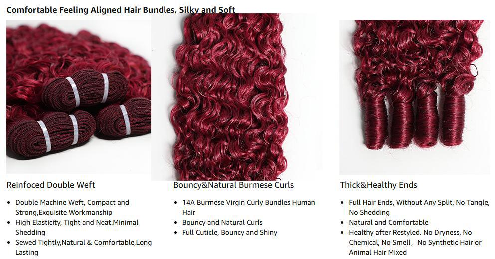 Lemoda Burmese Curly Bundles Human Hair Water Wave with Spiral Human Hair Bundles 100% Unprocessed Virgin Hair Extensions Dark Burgundy 99J Hair Bundles And 5X5 Lace Closure