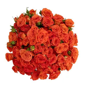 Orange Spray Roses
