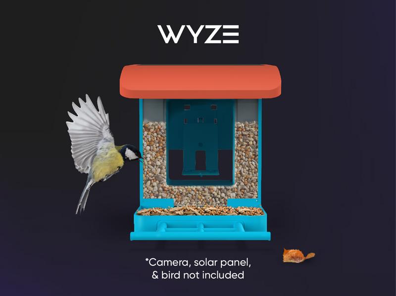Wyze Bird Feeder with HD Camera — View & Record Live Video of Feathered Visitors with Your Favorite Wyze Camera