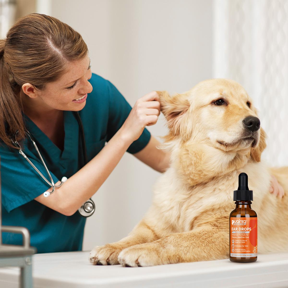 Puainta Quantum Silver Ear Drops for Dogs & Cats - Ear Infection Treatment, Ear Mite Remedy for Itchy Ears, Cleanser Cleaner Solution, 1 oz