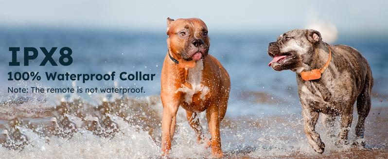 Jugbow Dog Collar - 4200FT Dog Collar with Remote, IPX8 Waterproof Electric Collar with 4 Training Modes, Security Lock, Rechargeable e-Collar-DT68