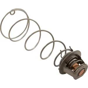 460924 Pentair Kit Thermal Regulator