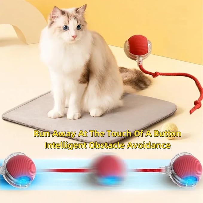 Durable interactive pet toy, suitable for indoor cats. Intelligent automatic chasing ball toy. Upgraded version for quick cat play. Perfect for adult cats tired of indoor life to have fun.