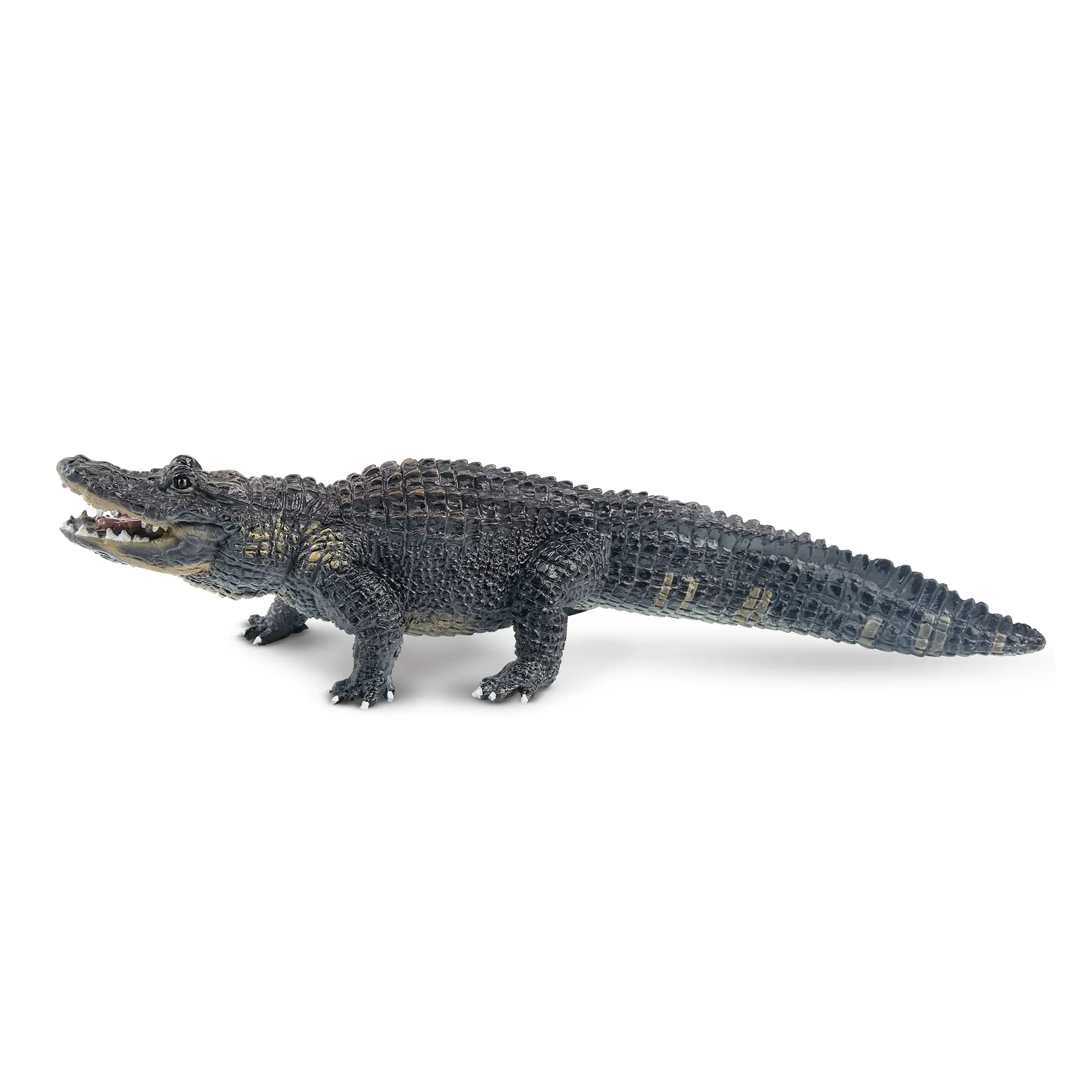 TOYMANY Plastic Alligator Figurine - Hand-Painted Realistic PVC Collectible Statue, 3+ Age Early Education Enrichment Toy, Novelty Decorative & Manipulatable Animal Figure, Collectible Animals Gift for Enthusiasts, Novelty Decorative Animals