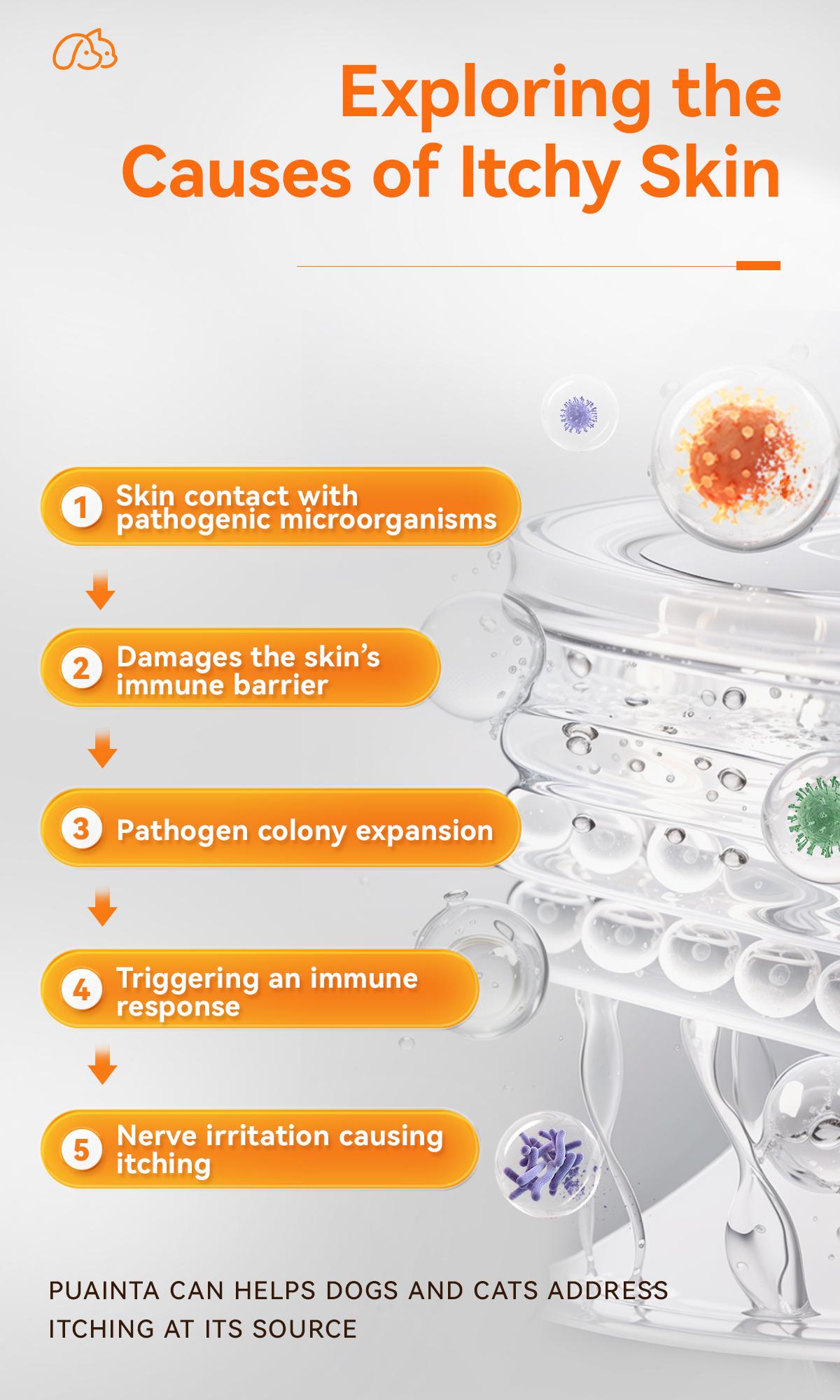 Itch Relief Spray –PUAINTA Vet Recommended Skin Soothing Quantum Silver Spray for Dogs & Cats, Helps Reduce Scratching & Hot Spot Discomfort, Gentle Daily Care, Natural Formula & Safe to Lick Itch Relief Spray –PUAINTA Vet Recommended Skin Soothing Quantum Silver Spray for Dogs & Cats, Helps Reduce Scratching & Hot Spot Discomfort, Gentle Daily Care, Natural Formula & Safe to Lick