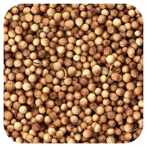 Frontier Co-op Organic Whole Coriander Seed, 16 oz (453 g)