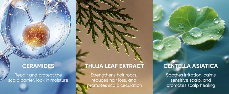 【BQ】EASYES Anti-Dandruff & Hair Thickening Shampoo | 1% Selenium Sulfide + 0.2% Piroctone Olamine | 11 Herbal Actives for 78% Less Flakes & +38% Density in 7 Days | #ScalpCare #HairGrowth