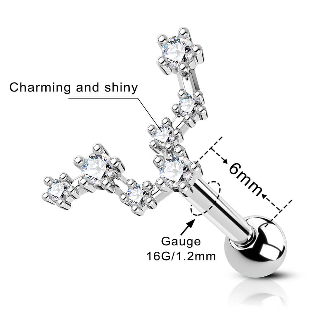 Oufer 16G Zodiac Sign Twelve Star Constellation Cartilage Lobe Earring Stud  Aries, Taurus, Gemini, Cancer, Leo, Virgo, Libra, Scorpio, Sagittarius, Capricorn, Aquarius in 316L Stainless Steel