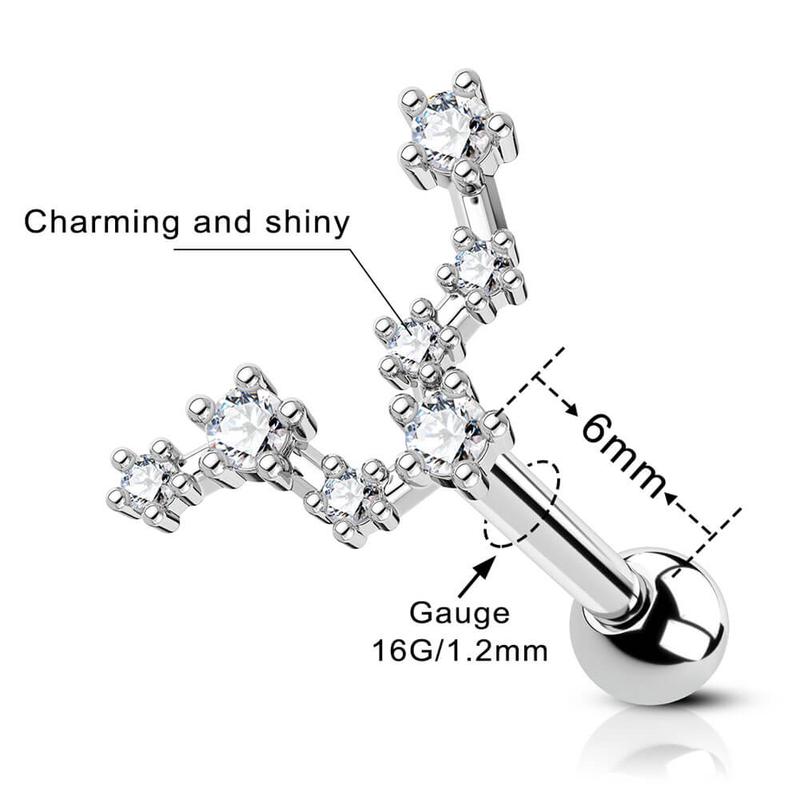 Oufer 16G Zodiac Sign Twelve Star Constellation Cartilage Lobe Earring Stud  Aries, Taurus, Gemini, Cancer, Leo, Virgo, Libra, Scorpio, Sagittarius, Capricorn, Aquarius in 316L Stainless Steel