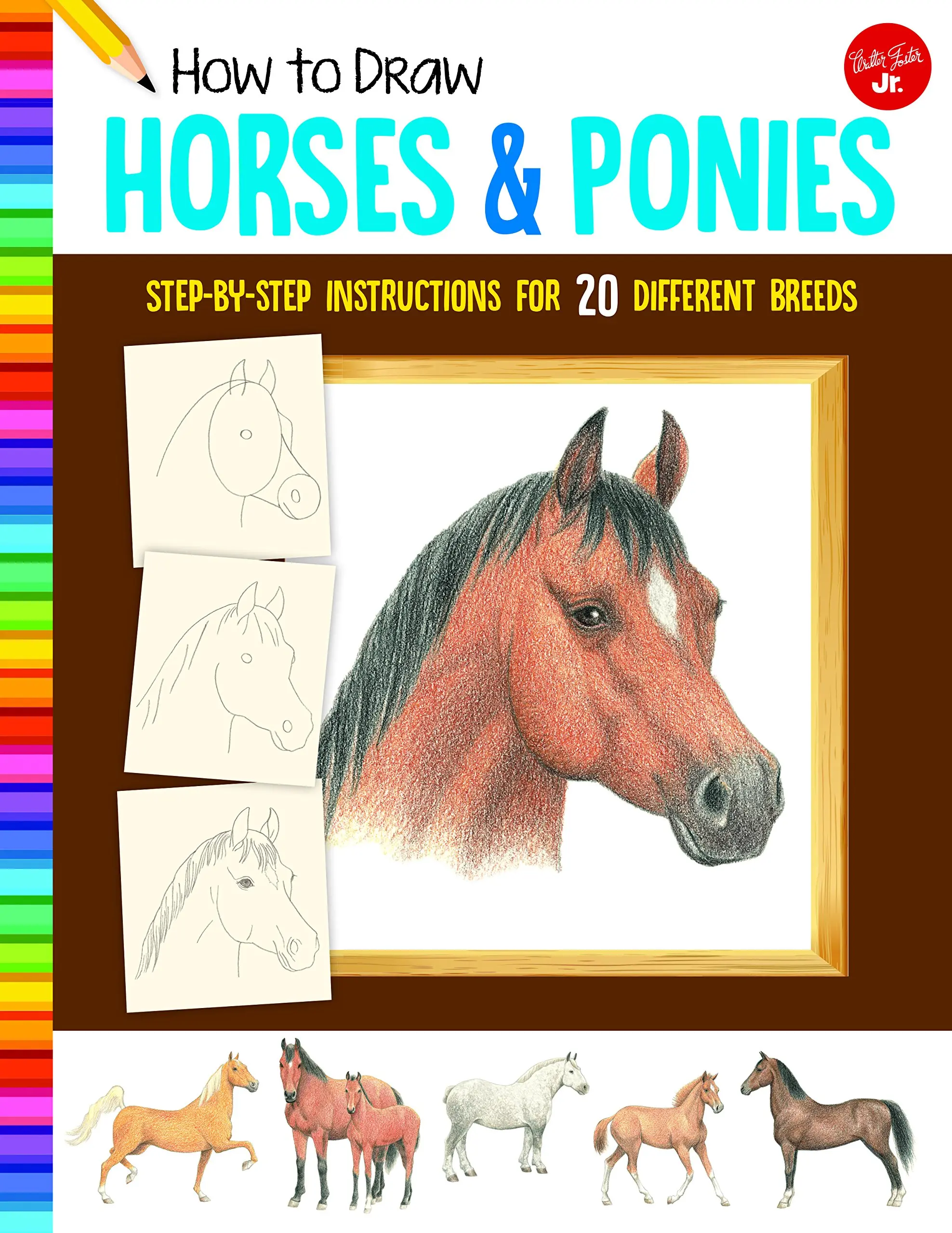 How to Draw Horses & Ponies: Step-by-step instructions for 20 different breeds (Learn to Draw), Paperback