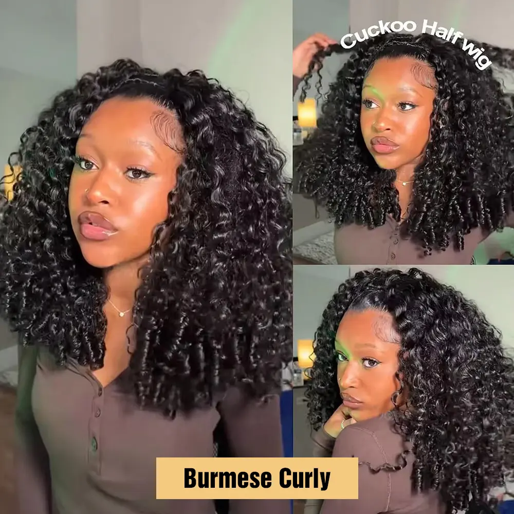 Burmese Curly