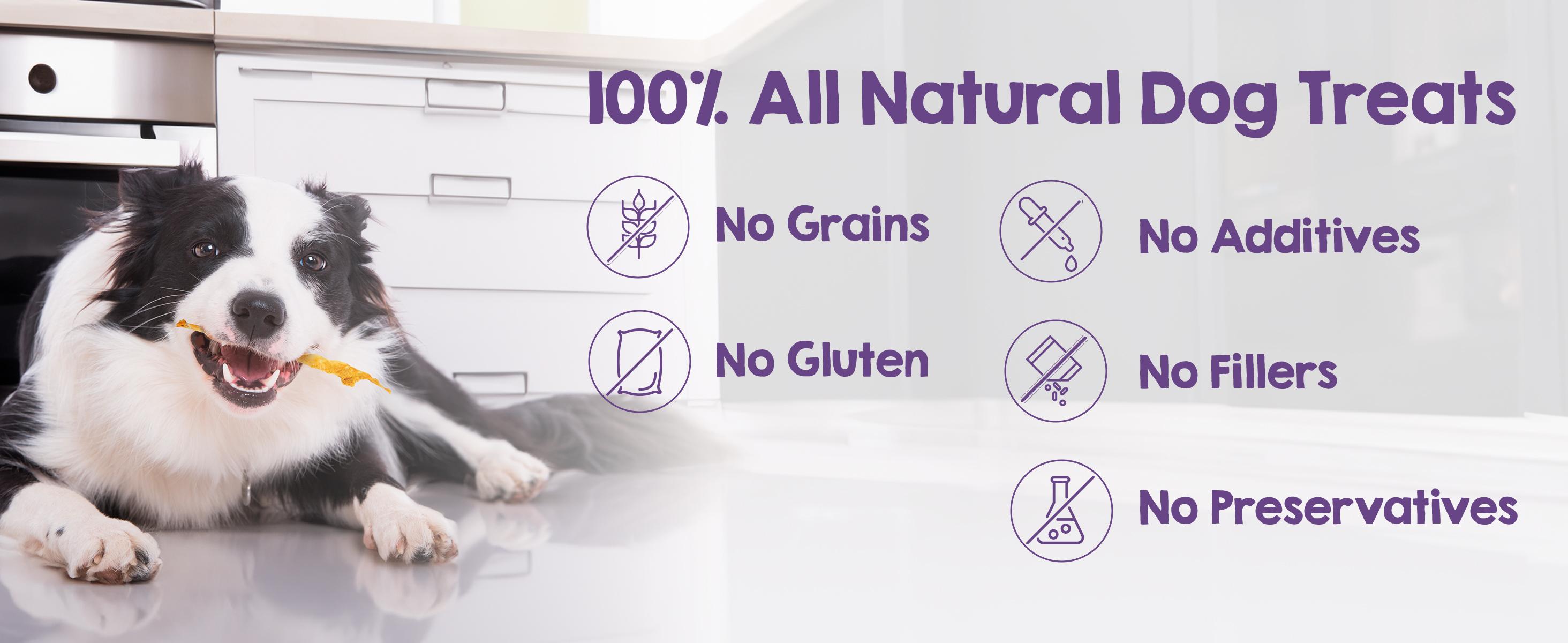 Riley's Turkey Tendons - Dehydrated Dog Treats - Made in USA - Single Ingredient - Multiple Sizes