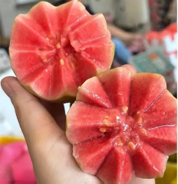 Guava Seeds for Potted Plants Greenhouses & Outdoor Gardens Easy to Cultivate Fruit Tree Seeds Ideal for Gardening Enthusiasts