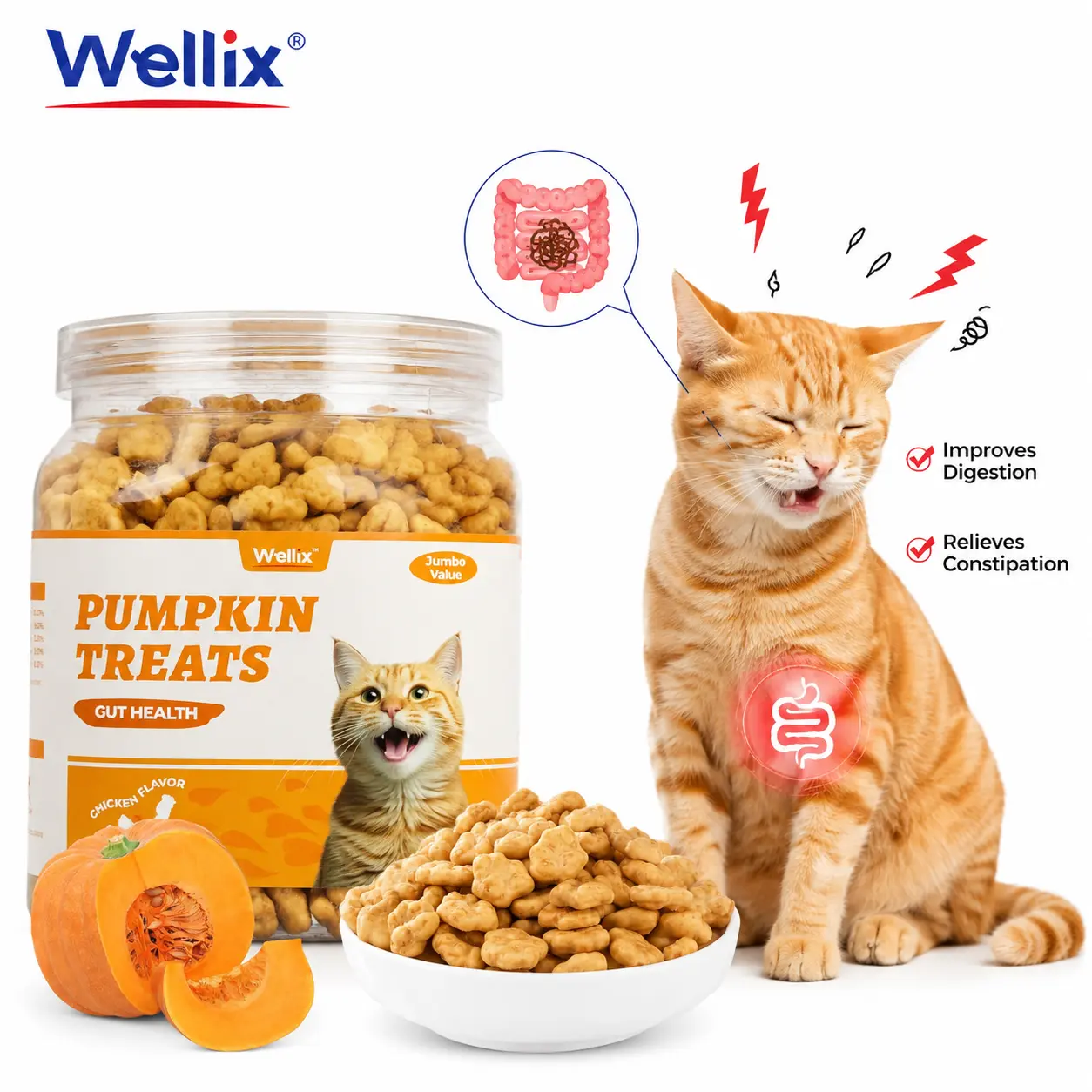 Wellix 13.05 oz Healthy Cat Treats Pumpkin Flavor for Sensitive Stomachs | Kitten Snacks with Chicken Flavor for Digestive Support, with Constipation Relief, as a Low-Calorie Cat Food Topper