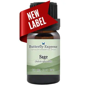 Sage Essential Oil Wholesale  <h6>Salvia officinalis</h6>