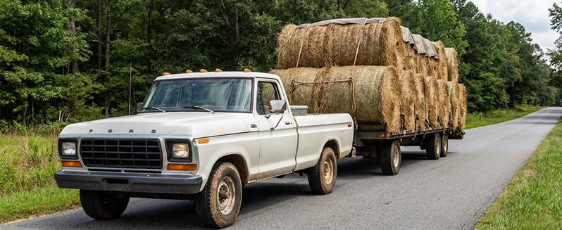 WhaleMotor 6 Inch Drop Adjustable Trailer Hitch - Fit 2 Inch Receiver Dual Ball Mount with Shackle, 10,000 LBS GTW, Anti-Theft Keyed Locks, Integrated Trailer Muffler & Rub Pads for Noise Reduction