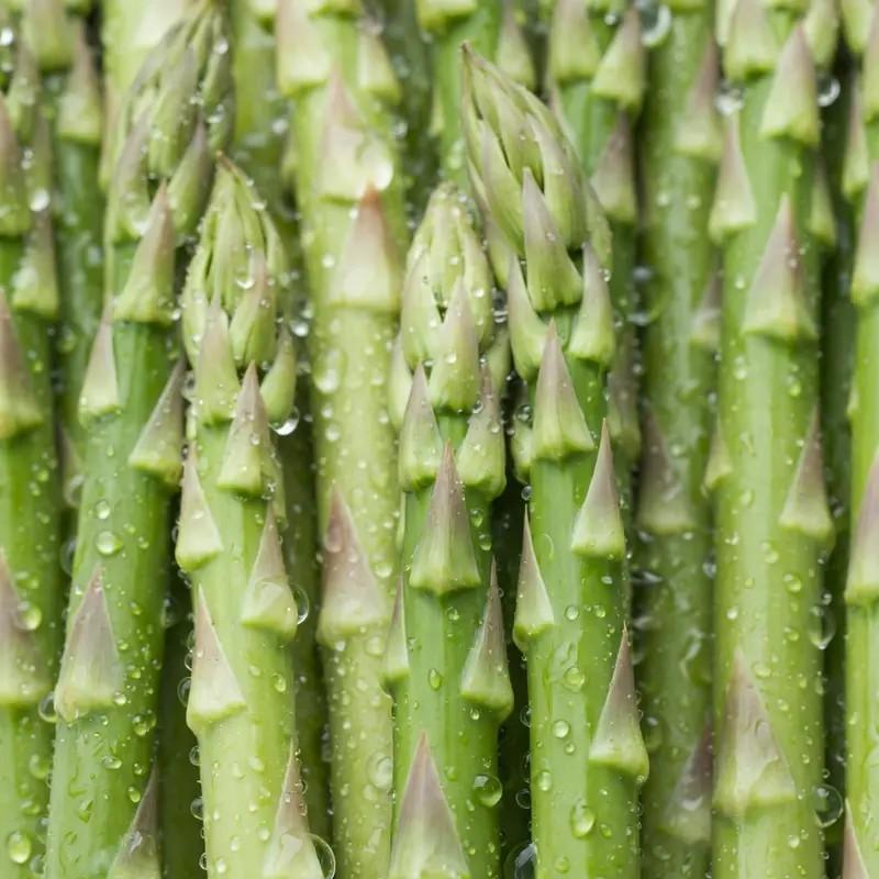 Asparagus Seeds for Planting, Non-GMO Heirloom Vegetable Seeds, Perennial and Easy to Grow, Ideal for Home Garden Growing