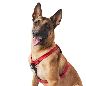 Sporn Ultimate Control Harness