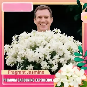 50+ Jasmine Seeds for Planting | Fragrant White Flowers | Ideal for Garden, Balcony, or Home Decoration