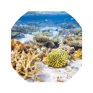 Under the Sea Vinyl Insert