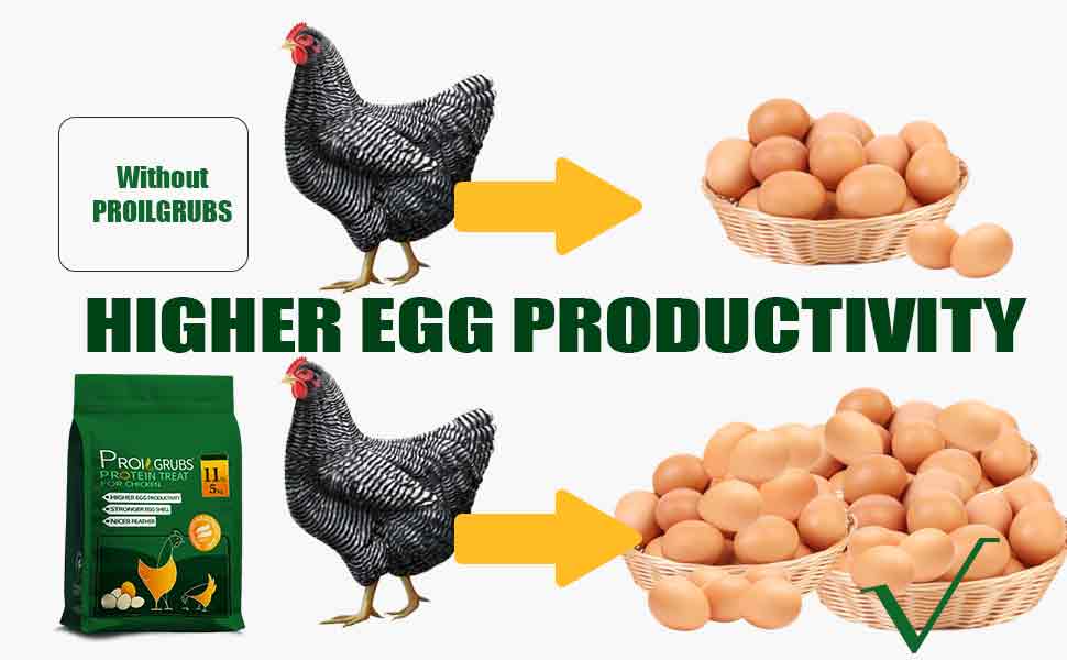 11LBS Non-GMO-Dried Worms for Chickens All Natural Dried Black Soldier Fly Larva Treats, Dried Meal Worms for Chickens, Hens, Birds... Dry Food  treats for chickens    fly larva   Feeding