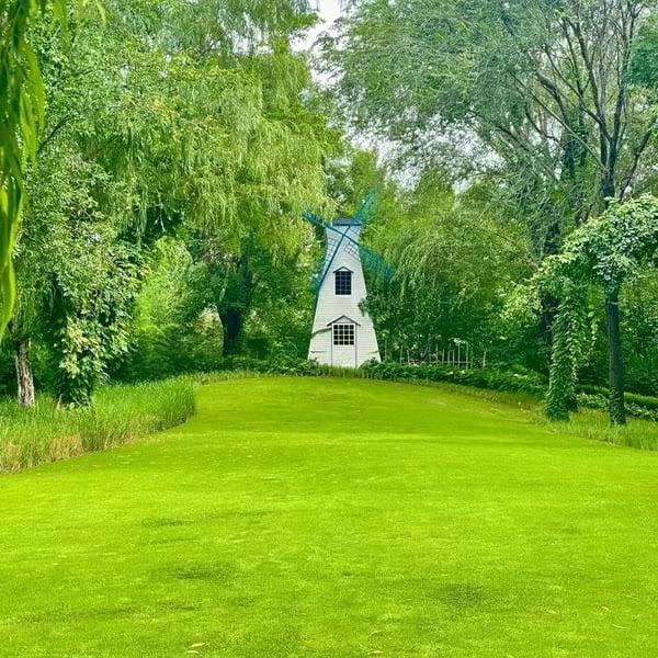 3000+ Premium Perennial grass Seeds – Fast-Growing, Thick, and Lush Lawn Grass for All Seasons