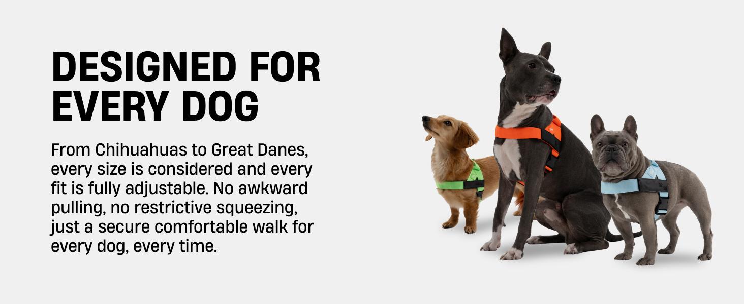 No Pull Dog Harness + D-Ring Bundle - Dog Friendly CO No Pull Dog Harness + D-Ring Bundle - Dog Friendly CO