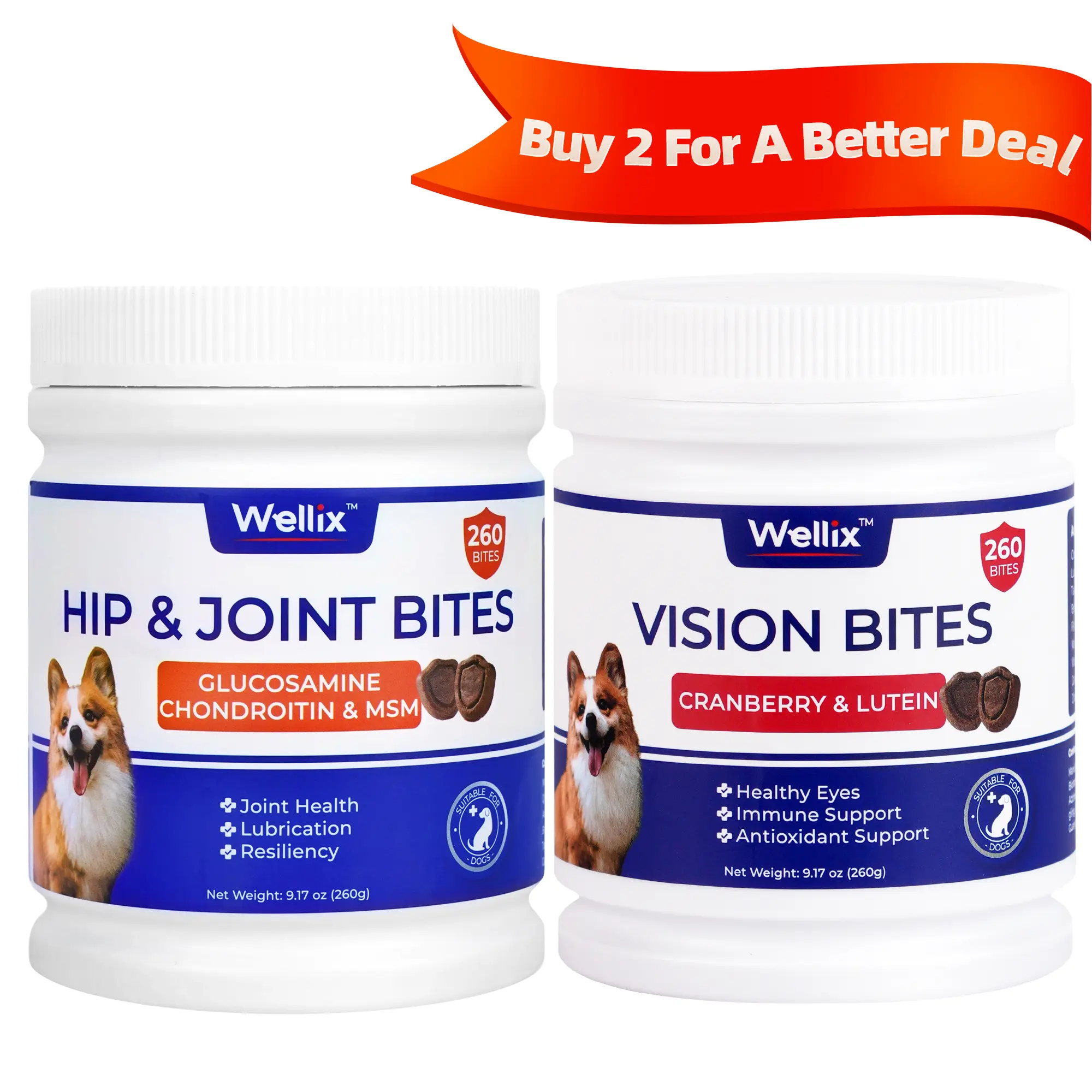 1 Hip & Joint 1 Vision