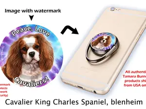 Cavalier Blenheim - Phone Stand
