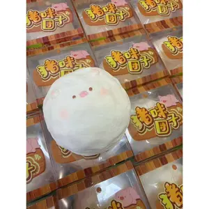 Piggy Dumpling Slow Rising Squishy