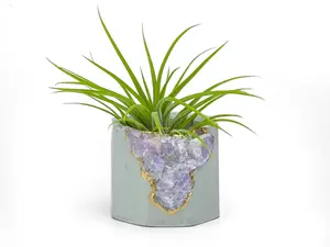 Amethyst Crystal Geode Planter Concrete Succulent Pot