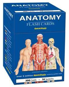 Anatomy Flash Cards: A Quickstudy Reference & Study Tool -- Vincent Perez, Cards
