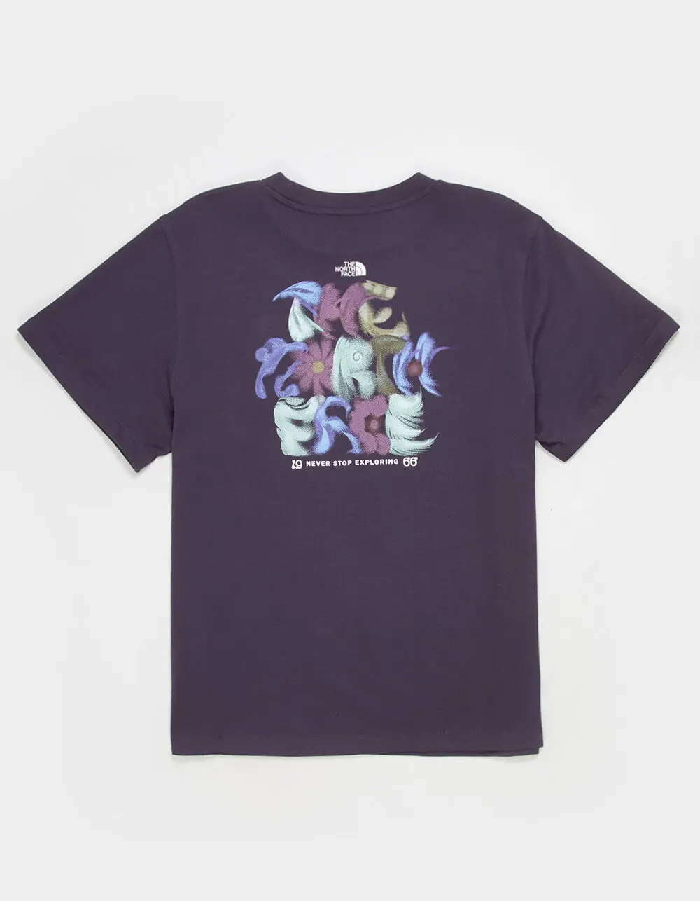 THE NORTH FACE 1966 Mens Tee