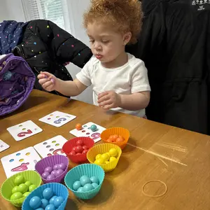 Educational Learning Tools Kids Learning Materials Toddler Stuff Sensory Toys Montessori Sorting at Home Montessori Toddler Toys Math Counting Game Kids Activities at Home Educational Toy Set For Kindergarten Learning Game