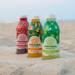 Vidagua Mixed Pack Agua Fresca – Fruit Drink (12-Pack)