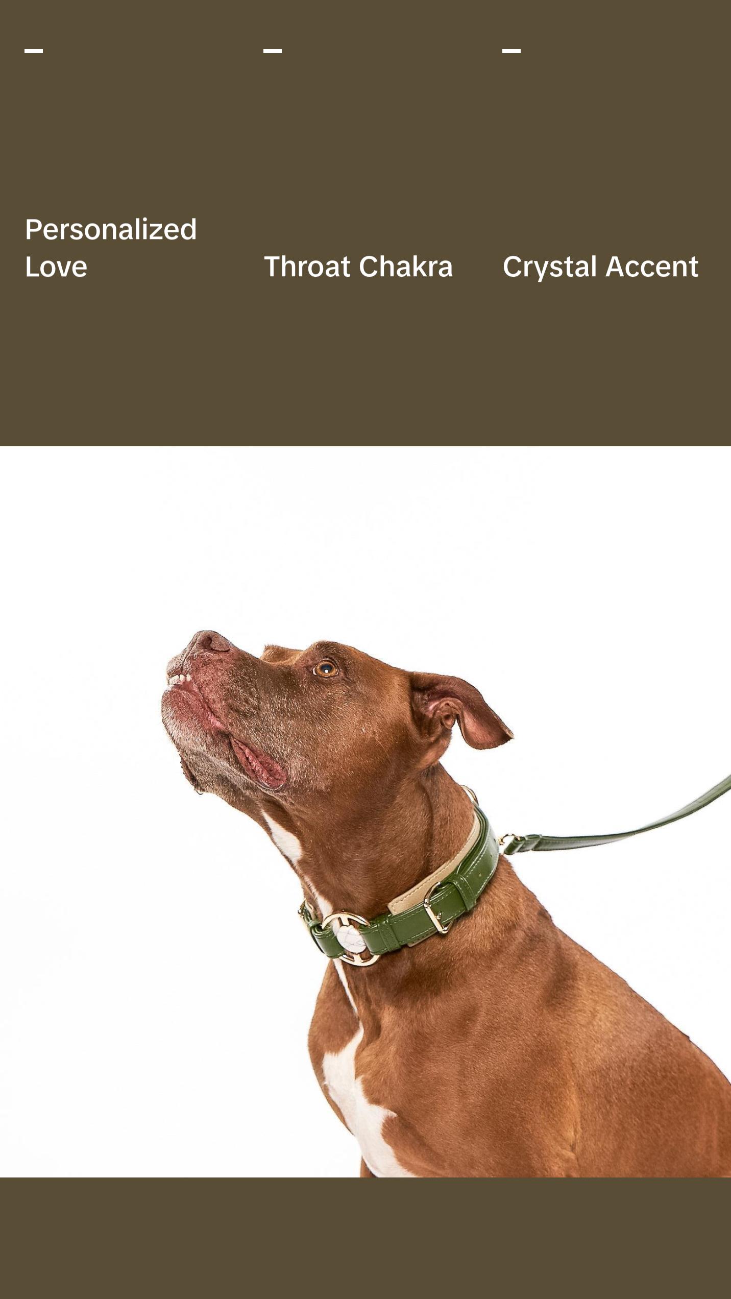 Baby It's You Collar - Nopal Green