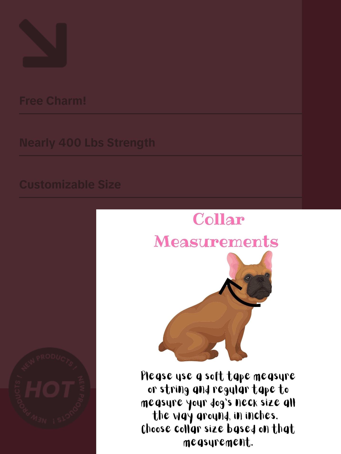 Champagne Cupcakes Beaded Dog Collar | Durable Pearl Dog Necklace | Custom Jewelry for Dogs | Wedding Dog Pearls | Bead Collar