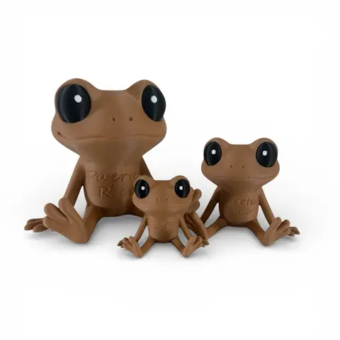 Coquí Buddy | Puerto Rican Collectible | Adopt One, Best Friends or Coqui Family