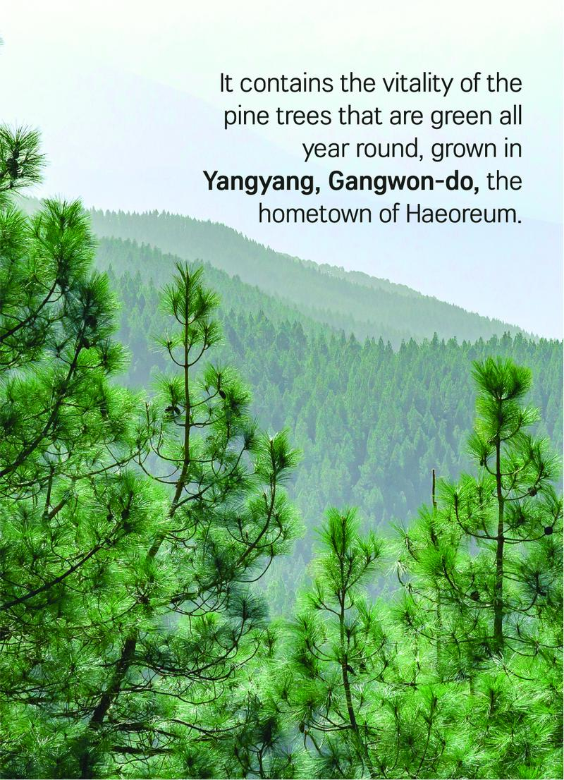 [PINE CICA LINE] Pine Calming Cica Toner_250ml