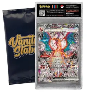 Pokémon Hit Slab – Ultra Rare / EX / V / VMAX / VSTAR Card in Display Case