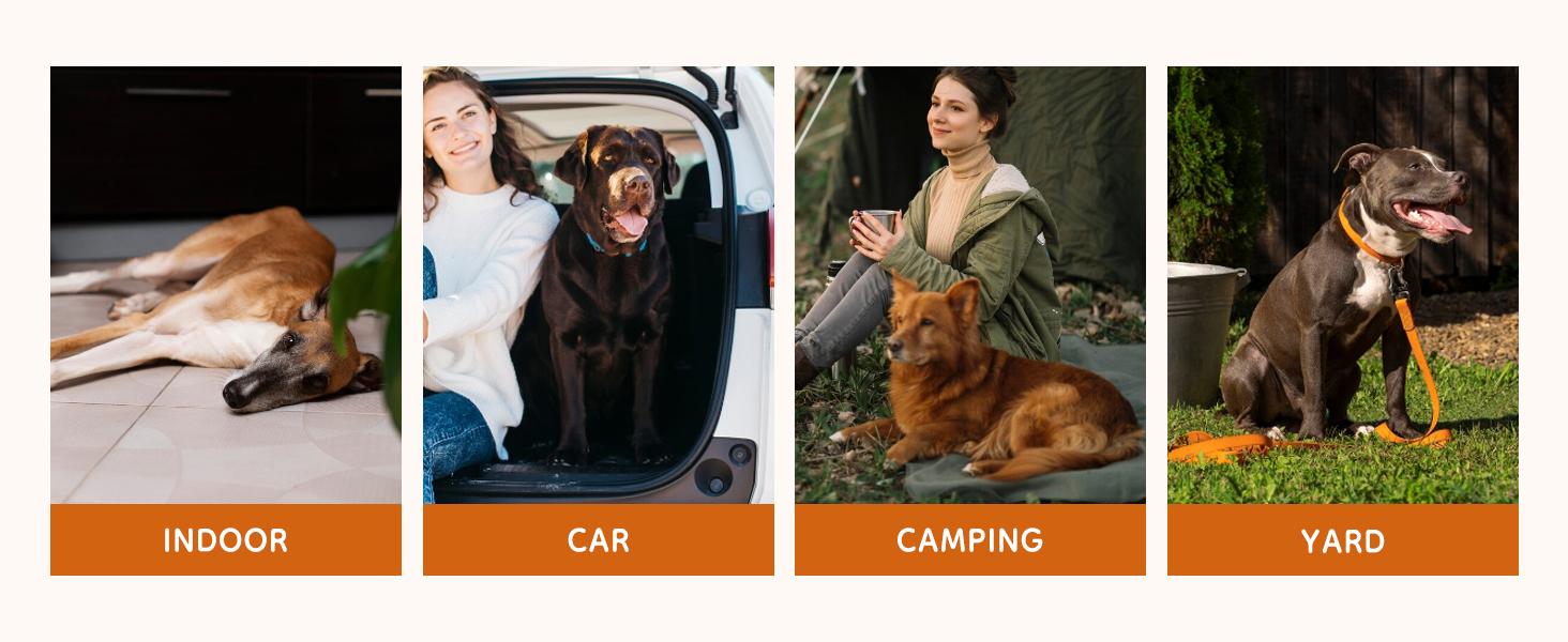 【Deal】Orthopedic Dog Bed, Memory Foam Pet Bed for Medium Dogs with Washable Removable Cover Non-Slip Base Waterproof Liner Egg Crate Foam