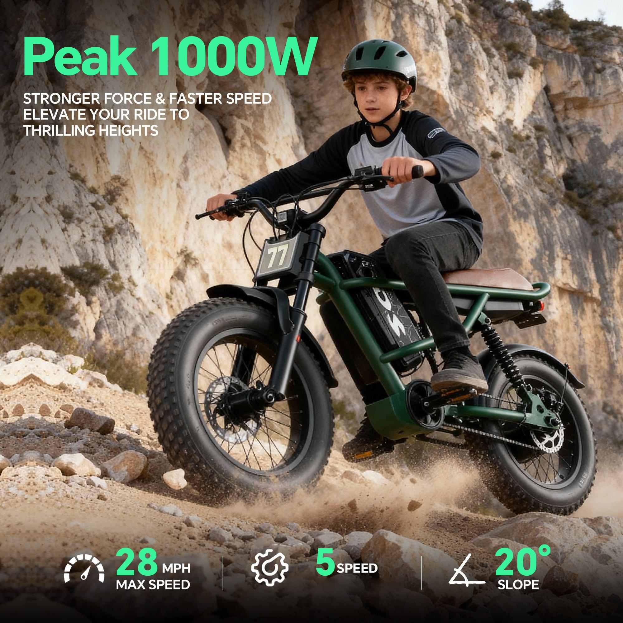 Electric Bike,Equipped withHigh Carbon Steel Frame, Full SuspensionSystem,28mph Top Speed,48V 1000W, PedalAssist Range of 30-70 Miles,16-lnch All-TerrainTires,Off-Road Motorcycle. Ebike cool and stylish