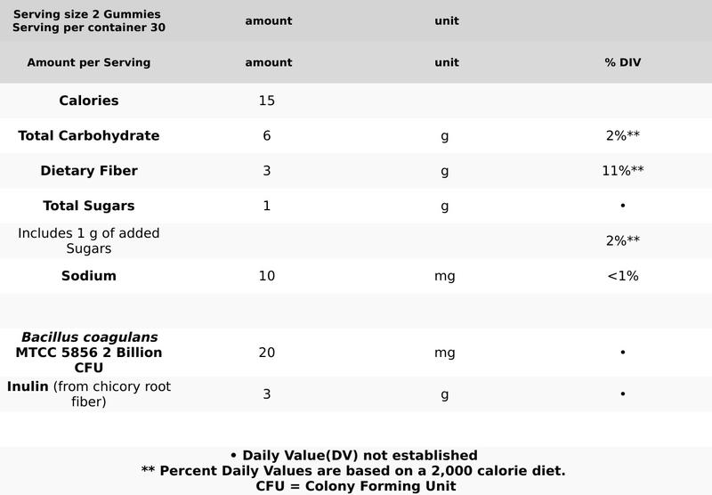 New Chapter All Flora Prebiotic + Probiotic Gummy for Women & Men, 55% Less Sugar | Holistic Gut Health Support - 60ct