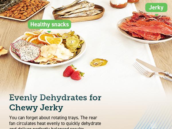 COSORI Food Dehydrator for Jerky, 480W Dehydrated Dryer, 5 Stainless Steel Trays, 48H Timer, Temperature Control, for Herbs, Meat, Fruit, and Yogurt