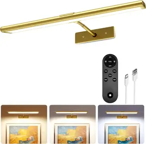 Picture Light for Wall, 4800mAh Rechargeable Wireless Remote Lights, 16'' Dimmable Magnetic LED Art Painting Light with 3 Color Temps, Display for Gallery, Living Room, Bedroom, Hallway (Gold)
