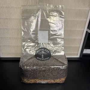 5LB ALL IN ONE MUSHROOM GROW BAG
